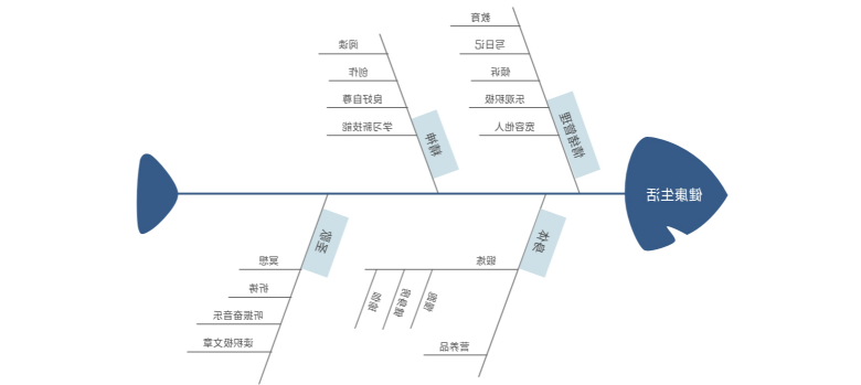 对策性鱼骨图实例