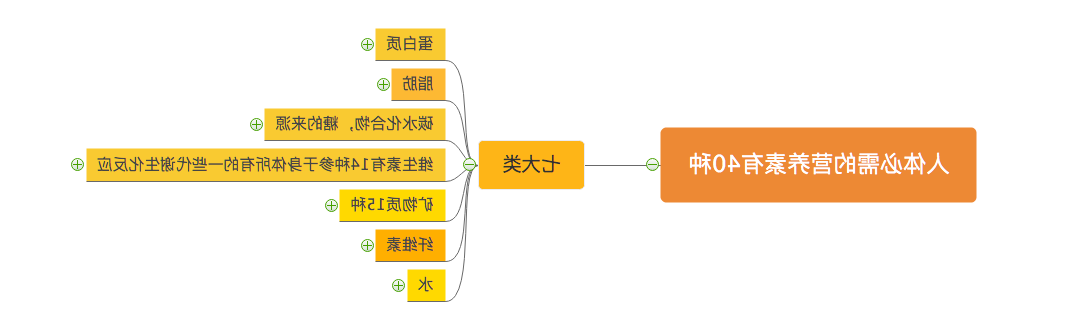 人体所需的营养