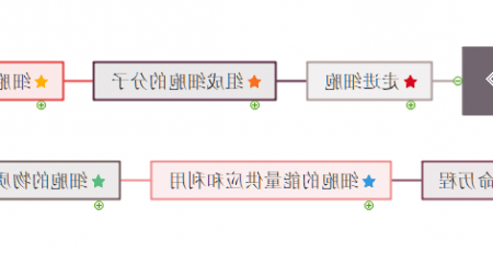 生物必修一思维导图