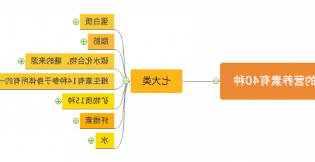 人体所需的营养