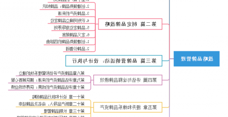 战略品牌管理